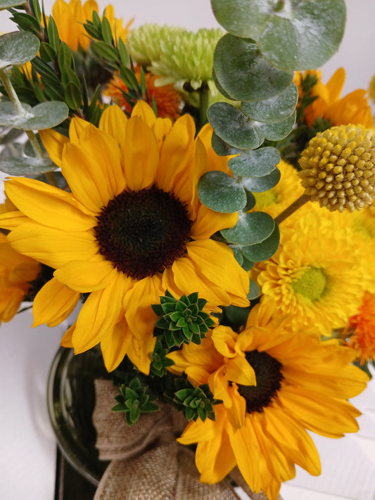 Sunflower Favourites 🌻
