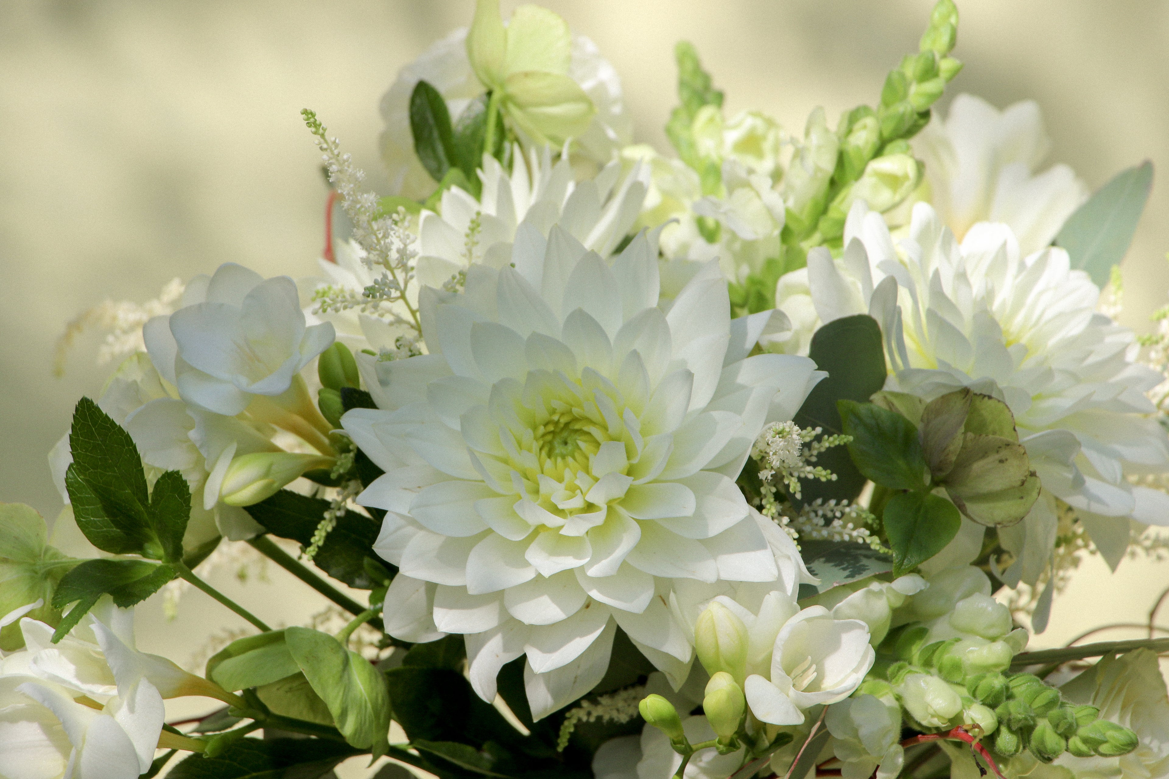 White and green fresh wedding flowers 